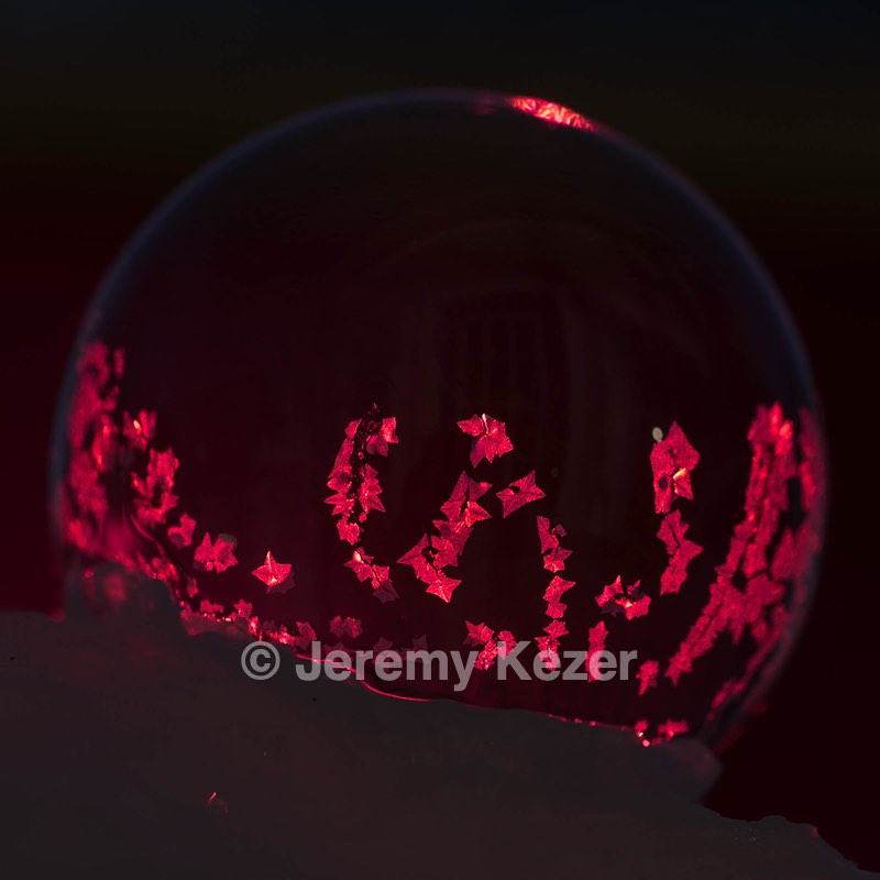 20250303-0028.jpg