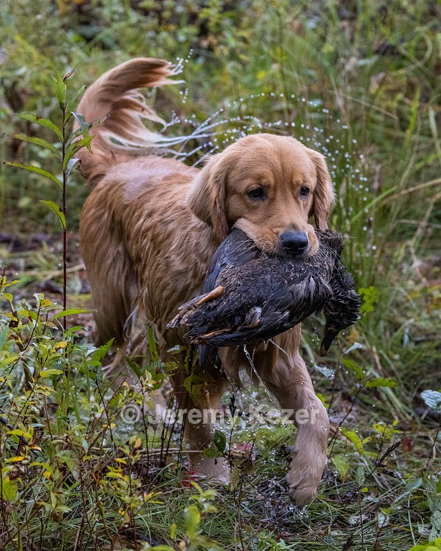 Devon Washburn