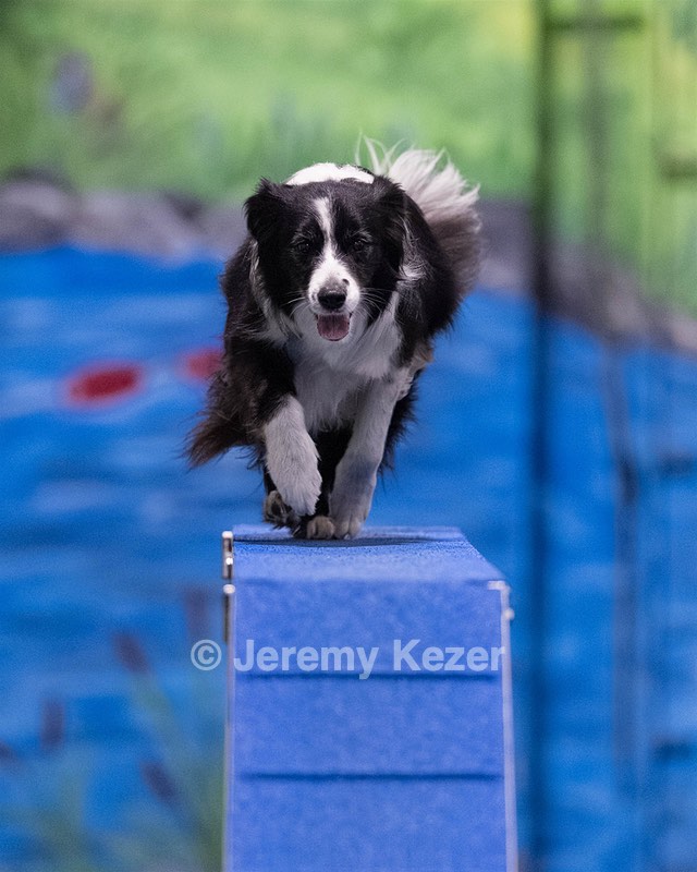 Breeze Schunk