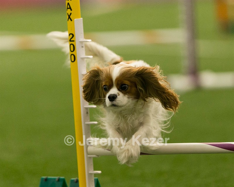 20150321-LEAP-1633.jpg