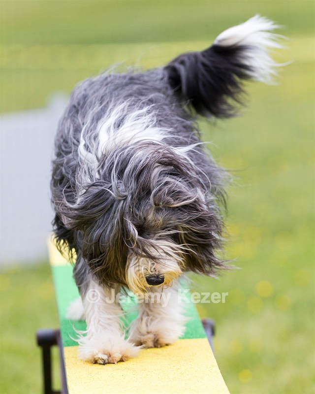 Lida Groves