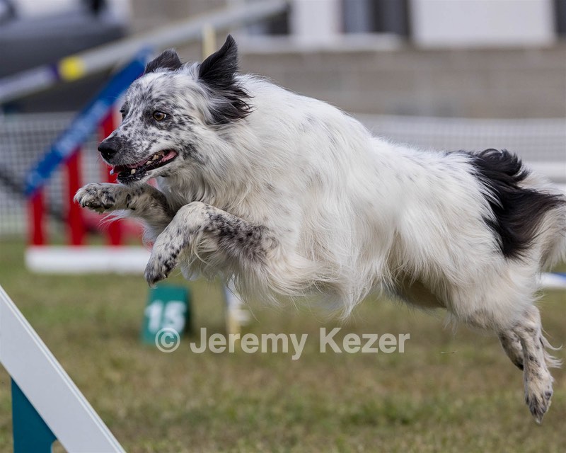 20230917-PVKC-2817.jpg