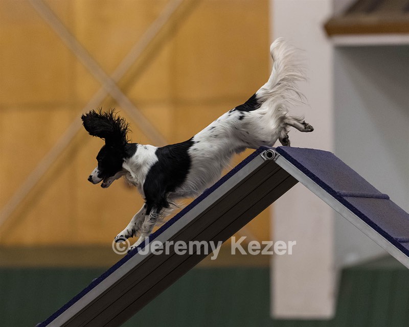 Bugsy Suter
