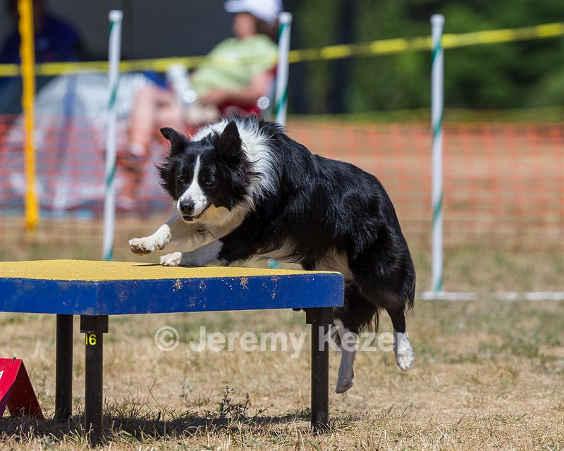 20160619-CCKC-1223.jpg