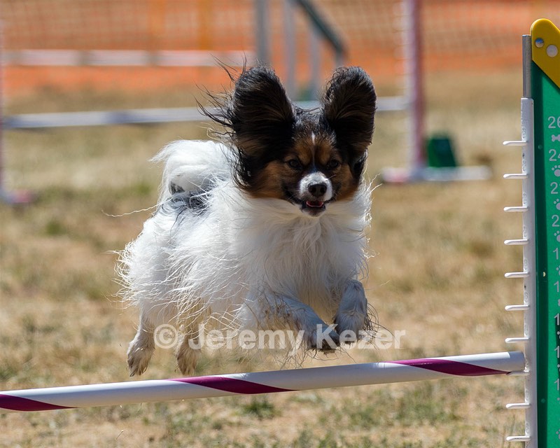 20160618-CCKC-1871.jpg