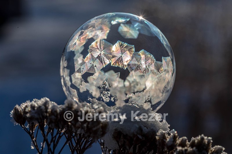 Frozen Soap Bubbles