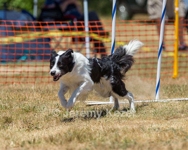 20160619-CCKC-1032.jpg