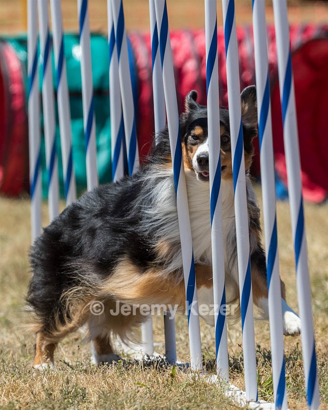 20160618-CCKC-1620.jpg