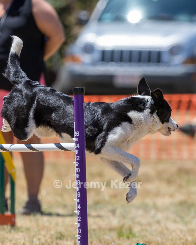 20160618-CCKC-1146.jpg