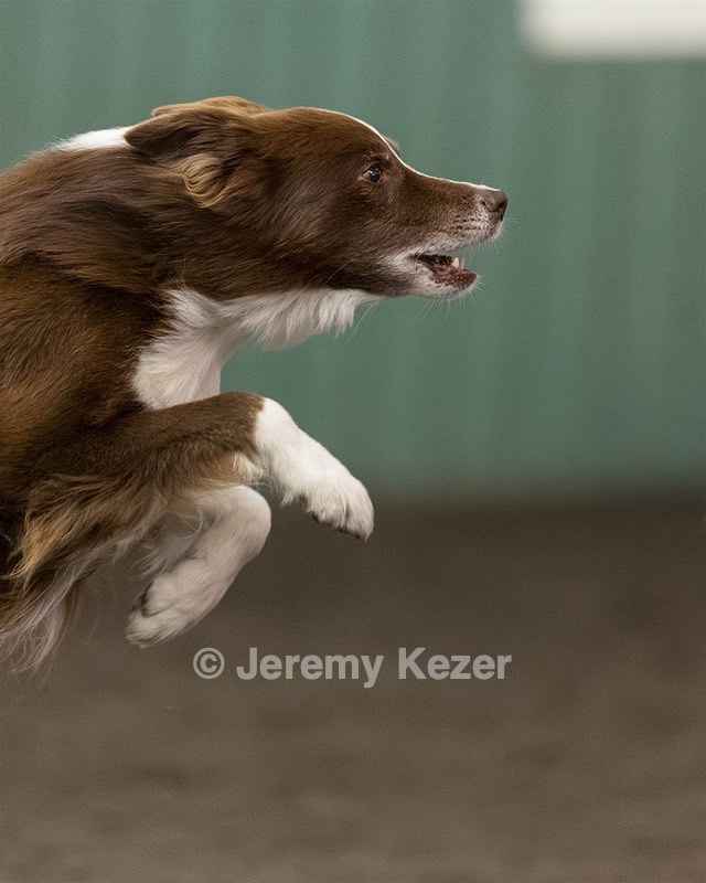 Ruff Bettler