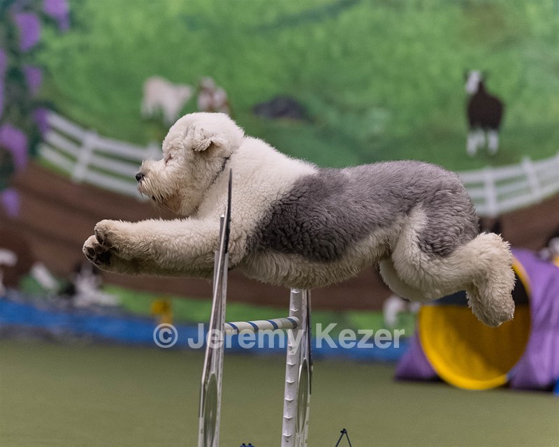 Yoshi Mabardy