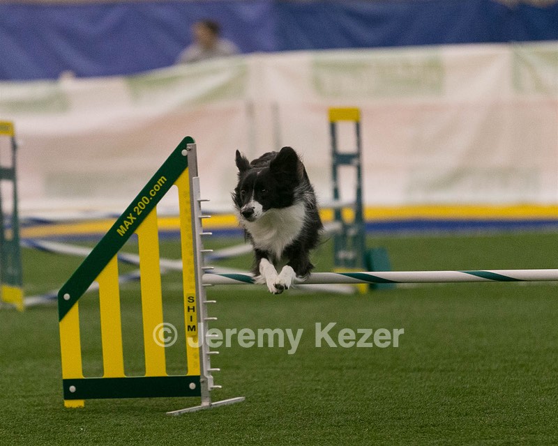 20150321-LEAP-0345.jpg