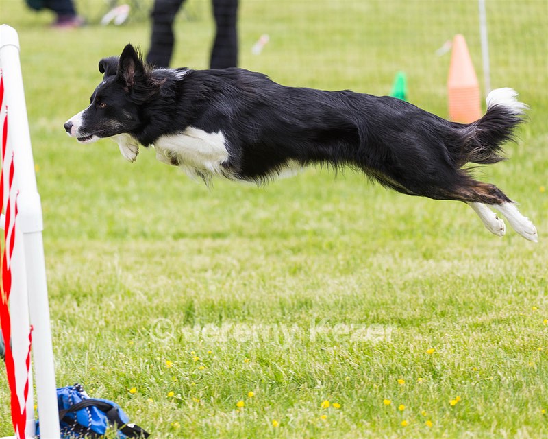 20160515-NEAT-1326.jpg