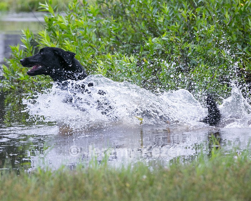 20130713-MHB2-0184.jpg
