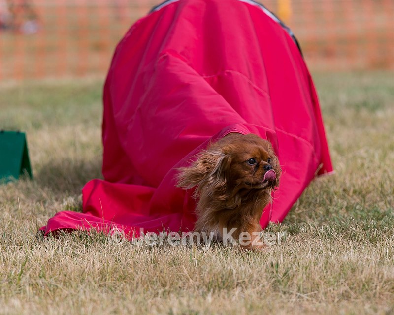 20150613-CCKC-0011.jpg