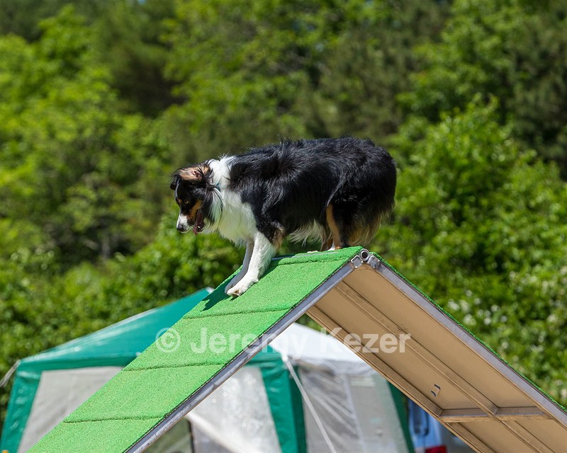 Kona Destremps