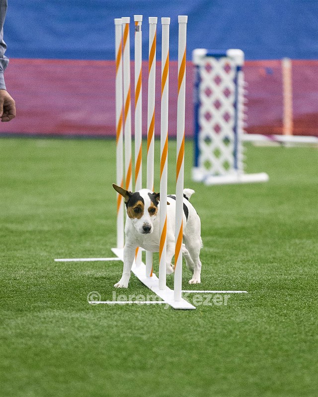 Oreo Kaczmarski