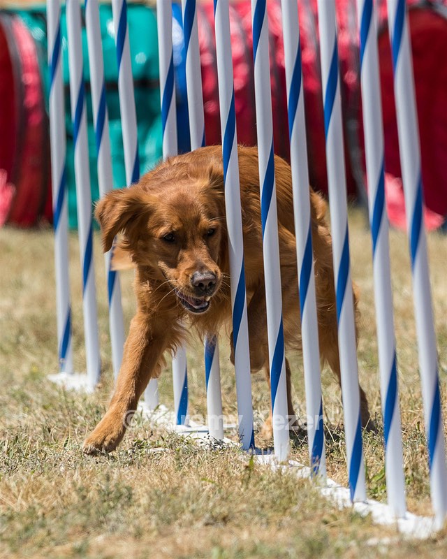20160618-CCKC-1379.jpg