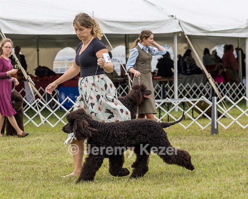 24 - POOLE'S IDE MODERN LOVE CGC (Remi)
