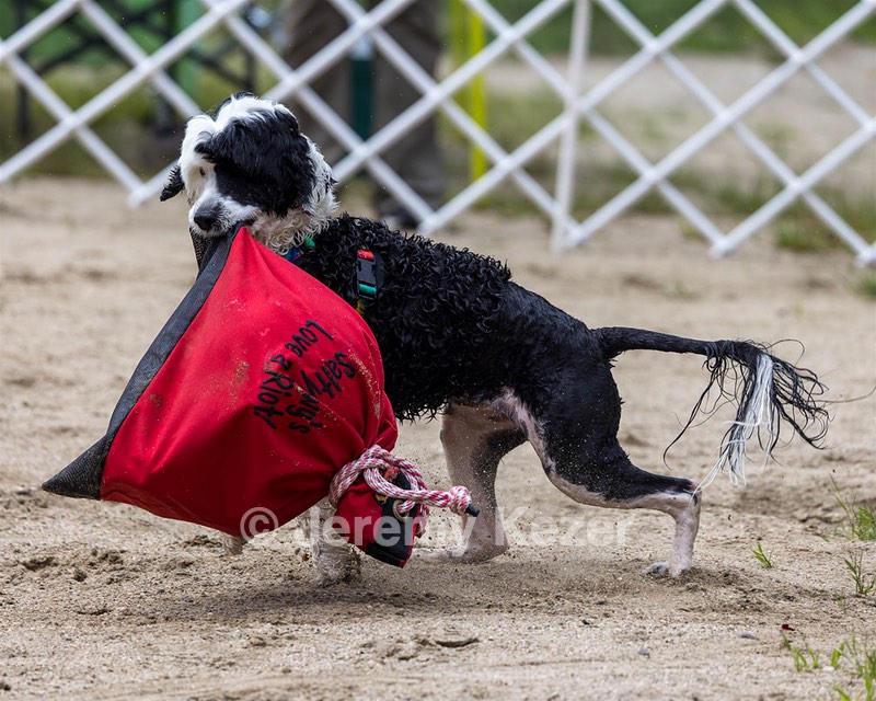 Riot Correia
