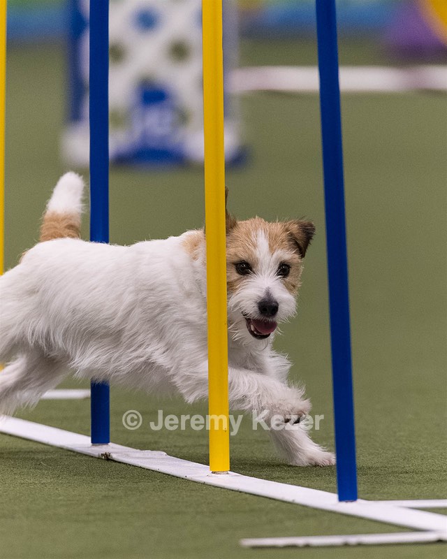 Teddy Caruso
