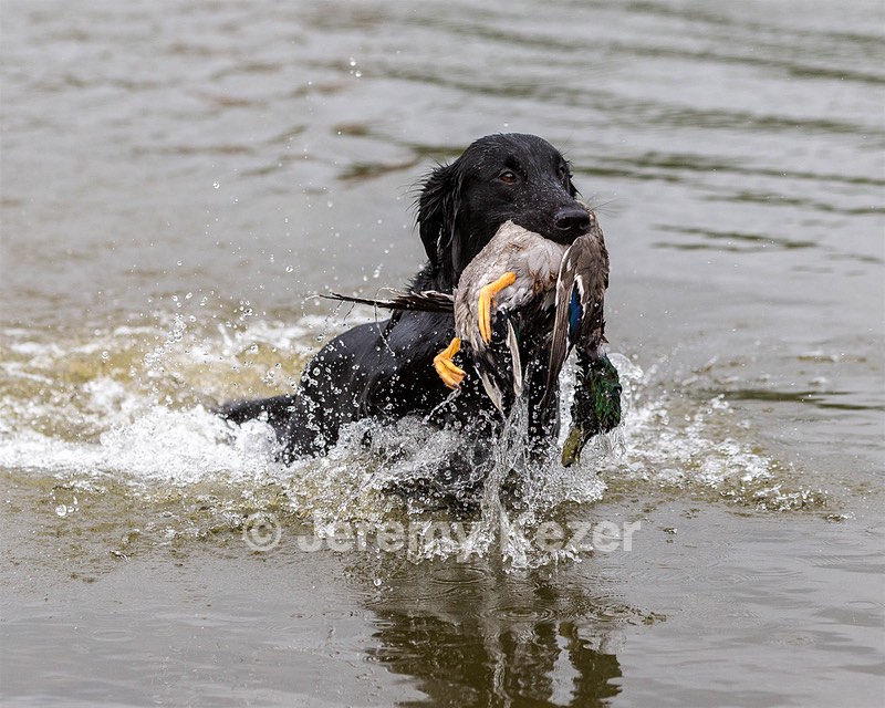 Quinn