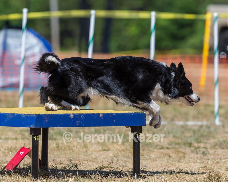 20160619-CCKC-1447.jpg