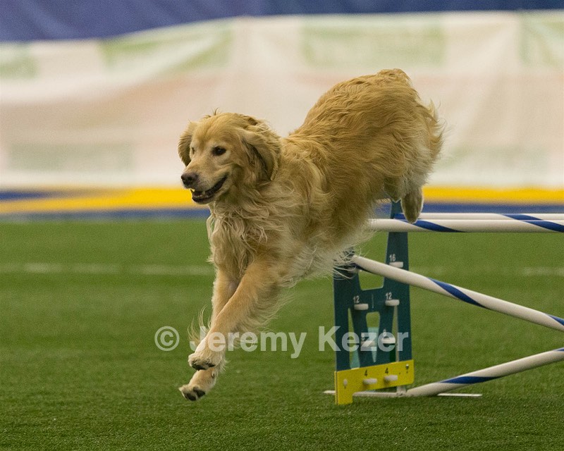 20150321-LEAP-0453.jpg