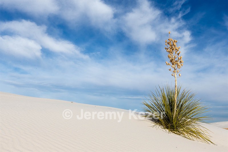 White Sands National Monument, New Mexico