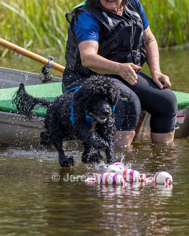 "Fenwick" and Janet