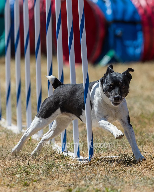 20160618-CCKC-1737.jpg