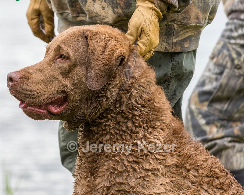 Hunter Law