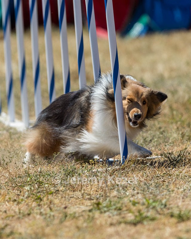 20160618-CCKC-1852.jpg