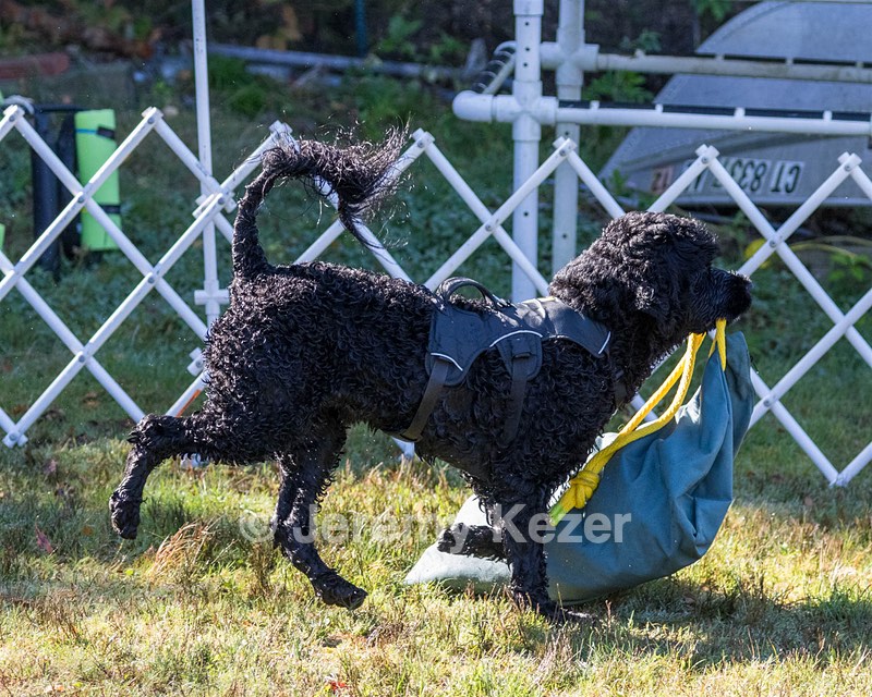Steel Kathan