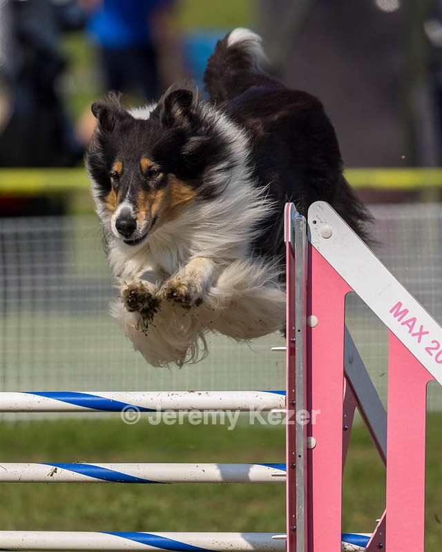 Emma Sheehy