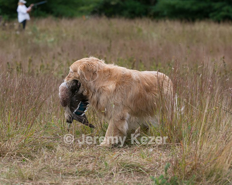 20130921-WCL-0005.jpg