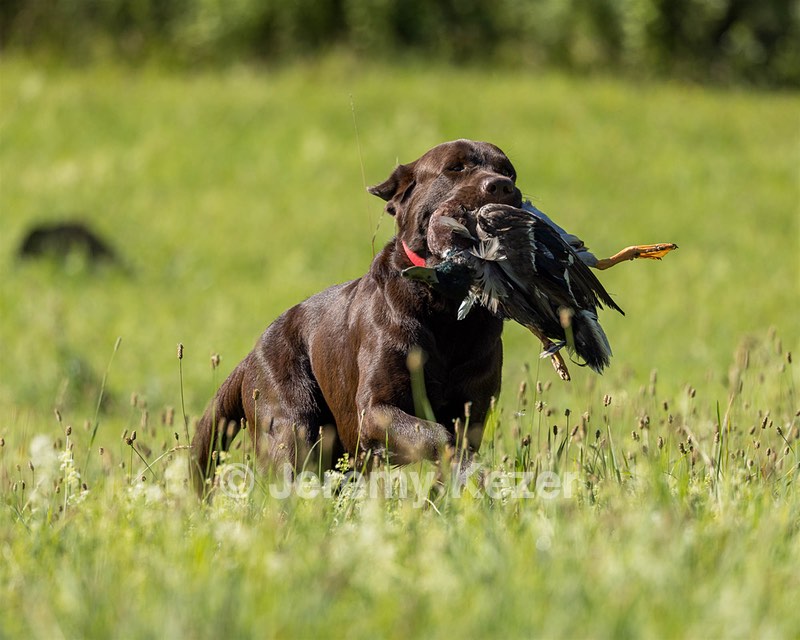 Gunny Fisher