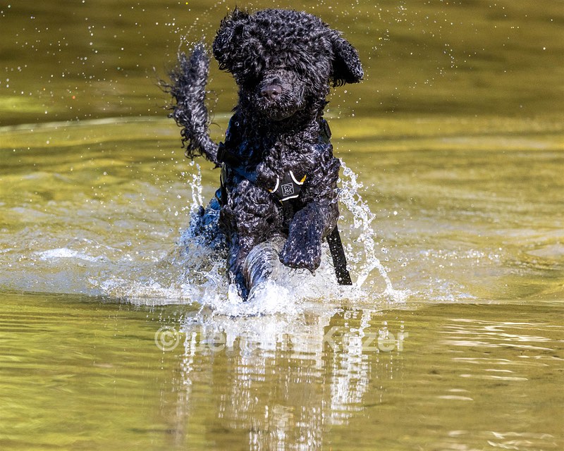 Breeze Holden
