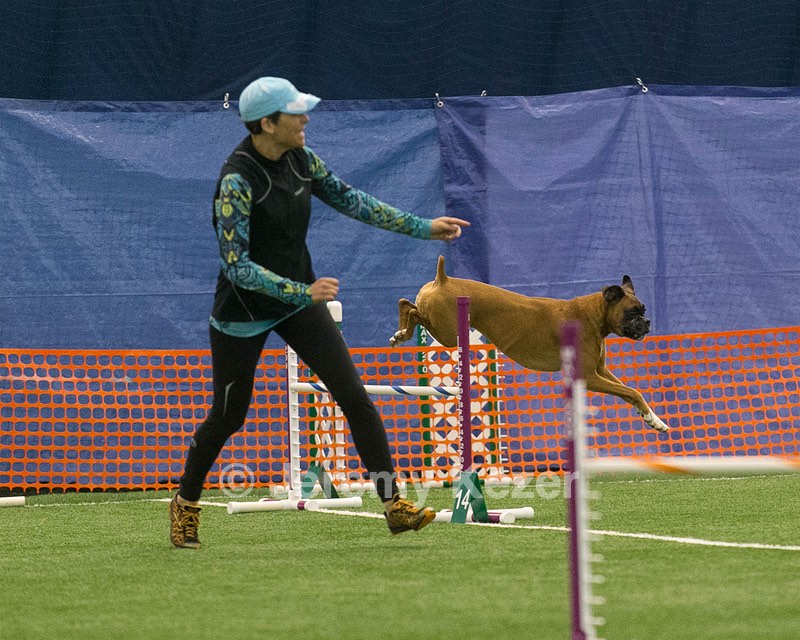 Molly Vicuna