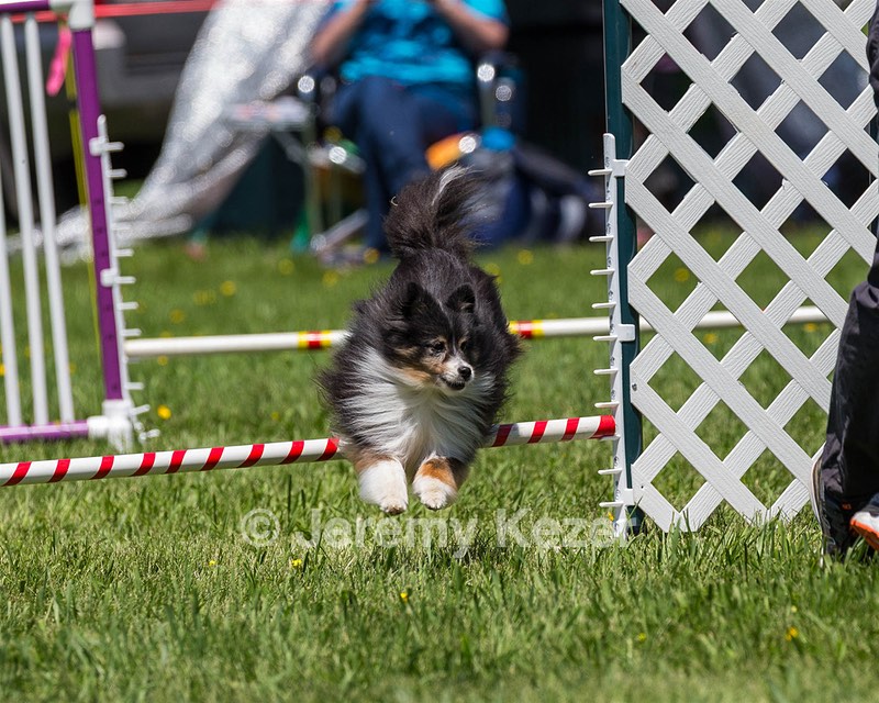 20170520-NEAT-1522.jpg