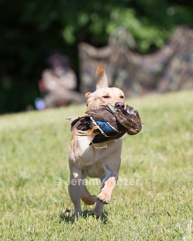 20130601-SHRL-0357.jpg