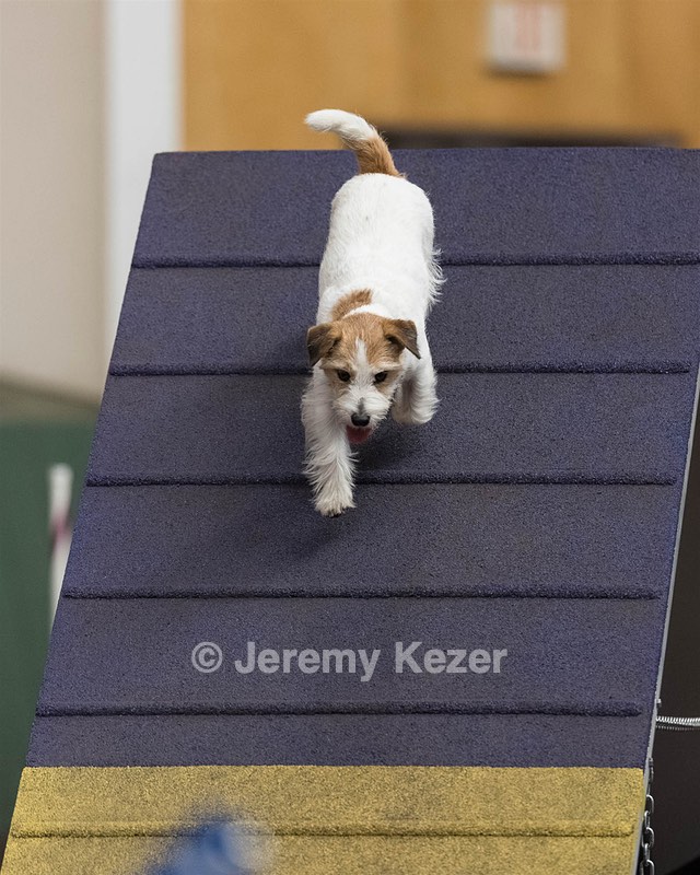 Teddy Caruso