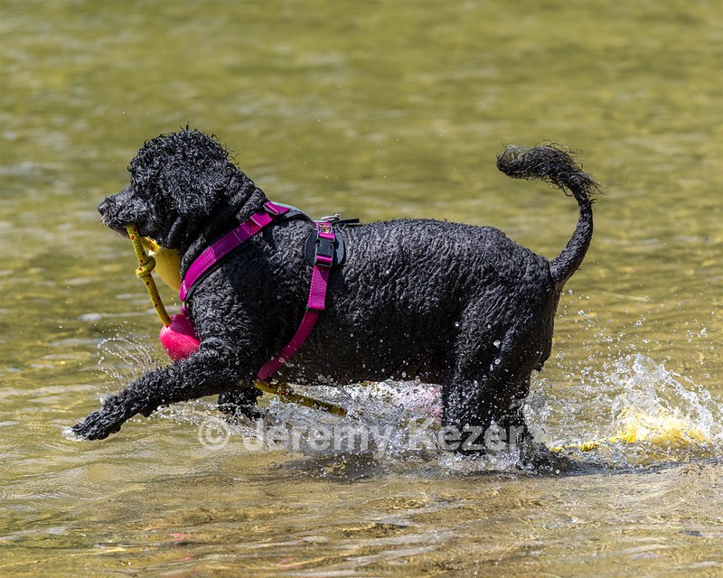 Tango Abbruzzese