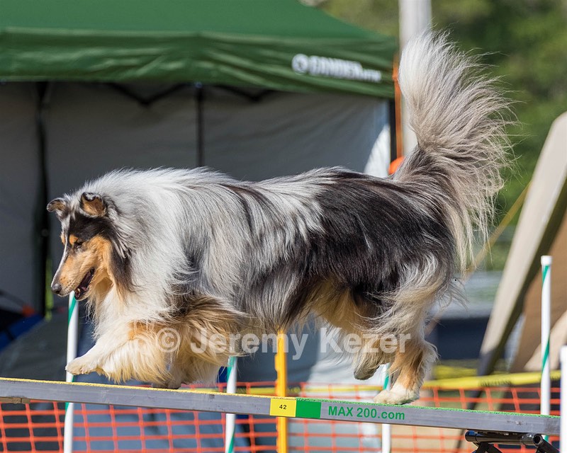 20160618-CCKC-2401.jpg