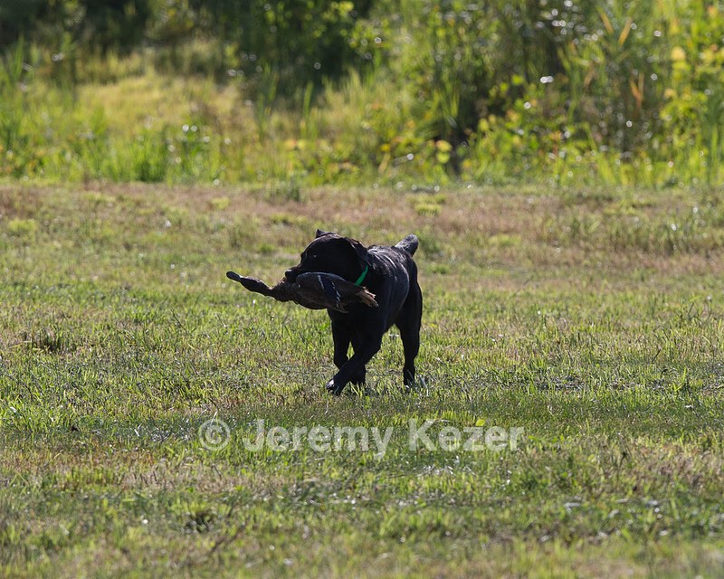 20140809-JHL-0014.jpg