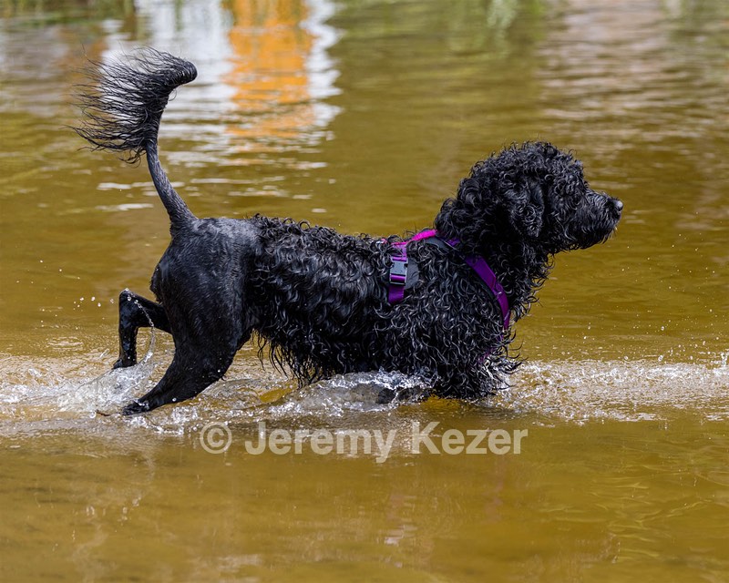 Winnie Patrice