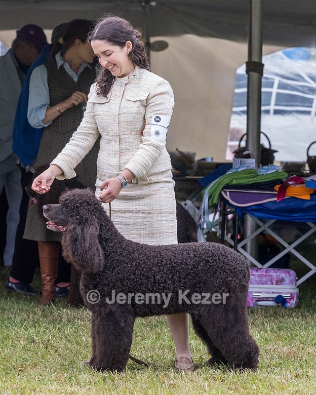 20 - GCHS CH POOLE'S IDE SAY NO MORE OHS CD RE JH DS (Simone)