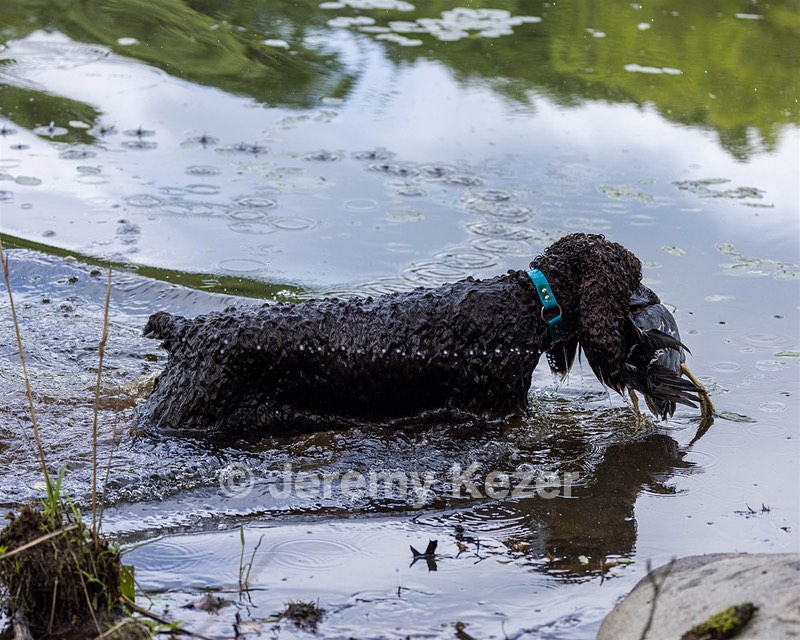 Ghillie Kezer