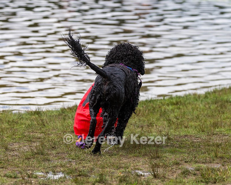 "Perry" & Diana