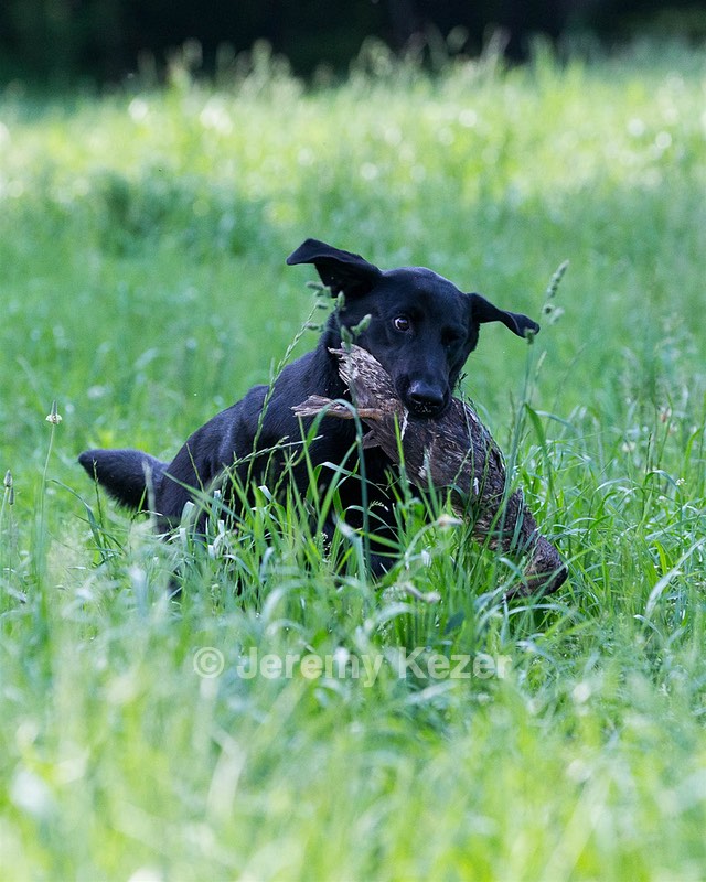 20160604-SEAL-0005.jpg